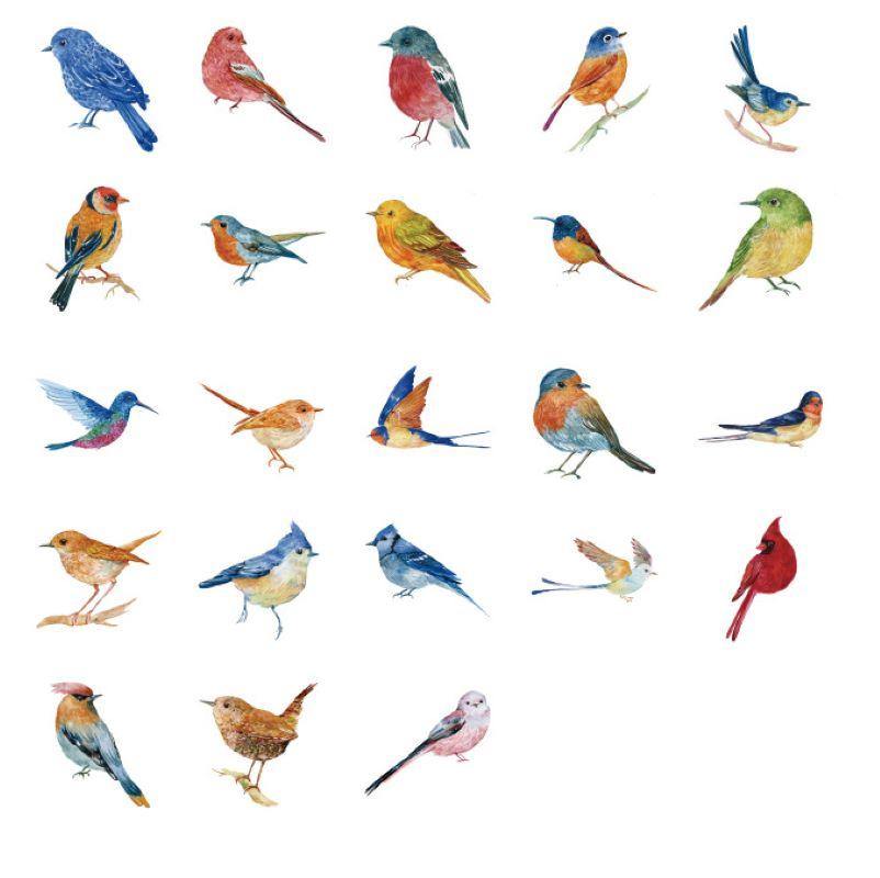 Bird Stickers - Unique Art, Craft & Stationery